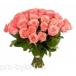 Букет 35 роз (пример-розы Амстердам) 40см
