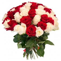 Букет 55 роз (пример-розы Фридом и Альба) 40см